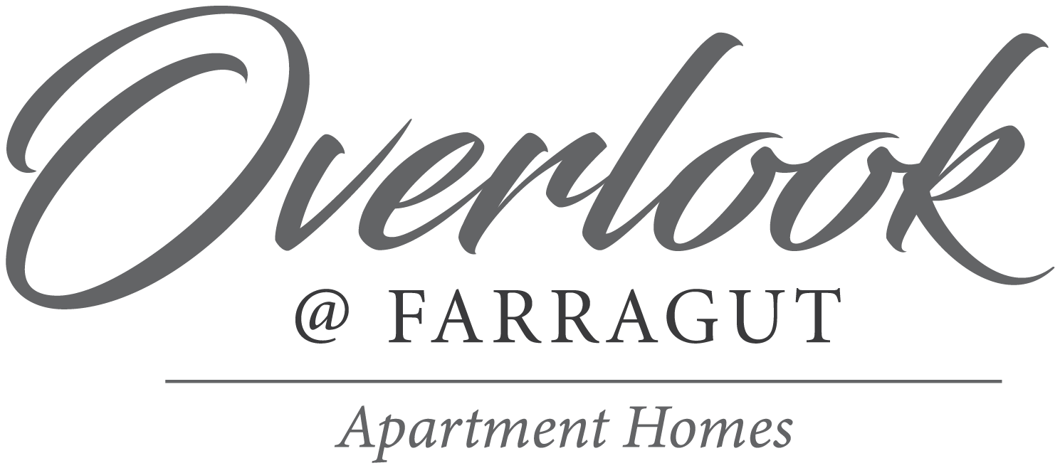 Overlook at Farragut Apartment Homes